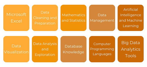 解鎖數(shù)據(jù)價(jià)值 掌握數(shù)據(jù)處理技術(shù)，夯實(shí)有效數(shù)據(jù)分析的基石
